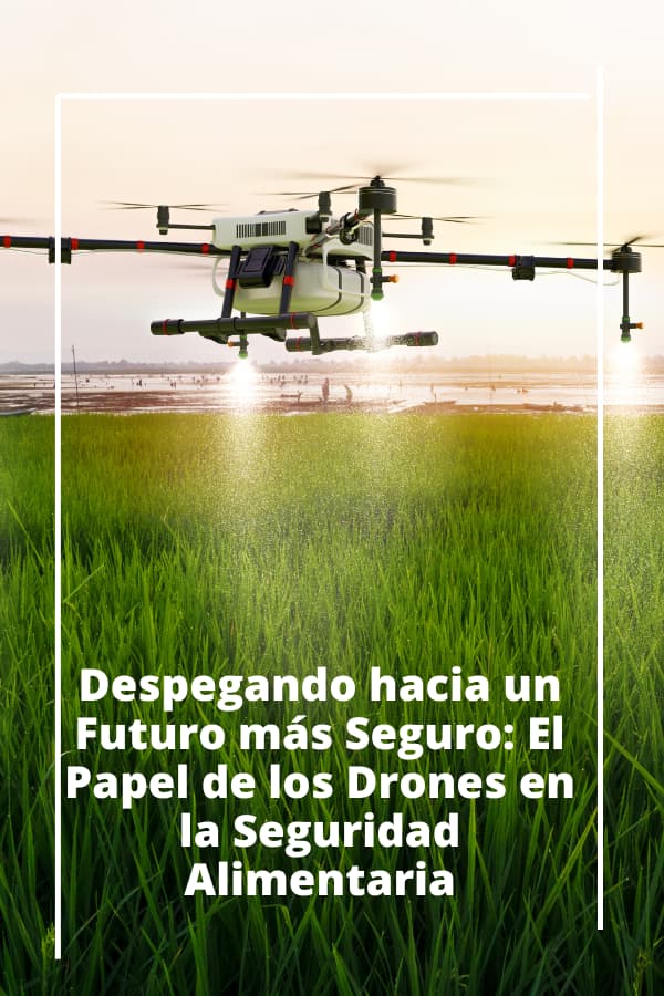 Drones y seguridad alimentaria